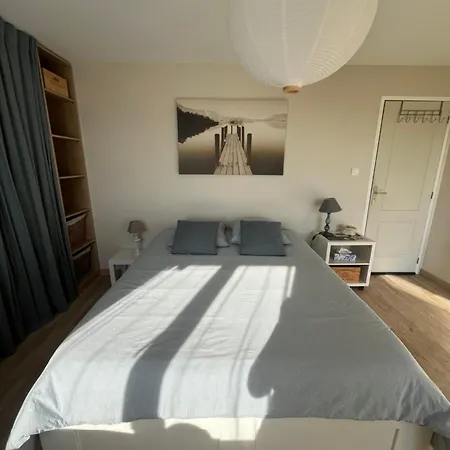 Les Oliviers ! Montpon-Menesterol