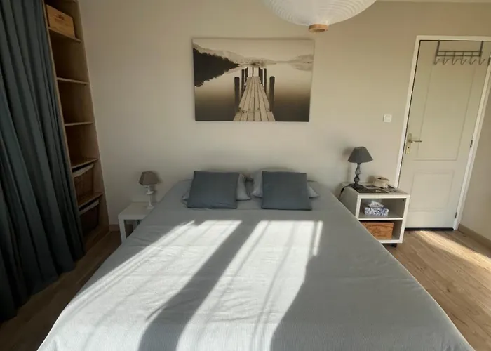 Les Oliviers ! Montpon-Menesterol